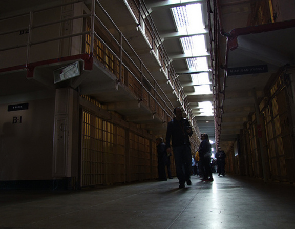 Large alcatraz
