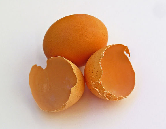 Large eggshell 001
