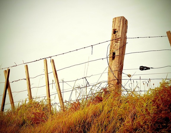 Large fence barb wire barbed wire nature landscapes 192a94 1024