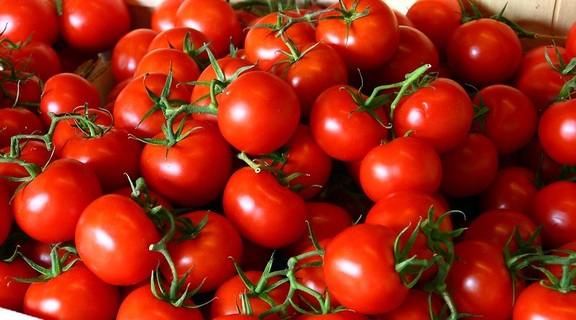 Homepage pomidore